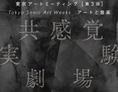 Tokyo Sonic Art Weeks アートと音楽　共感覚実験劇場 (2013)